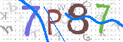 Image Anti-spam