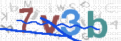 Image Anti-spam
